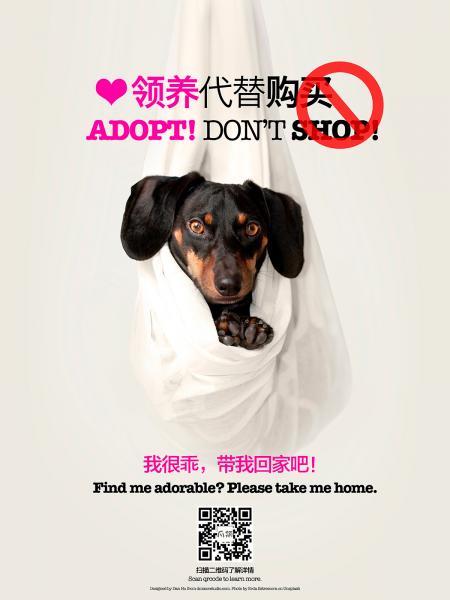 adoption-poster-dog-s.jpg